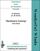 Sandmans Coming Flute Quintet; Not for sale in Italy cover